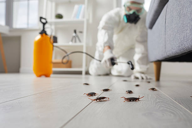 Trusted Cockroach Control service in Red Bank, TN - Nex Pest Control