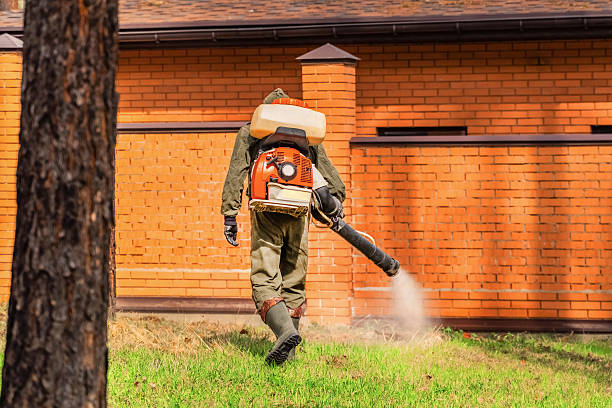 Trusted Rodent Control service in Red Bank, TN - Nex Pest Control
